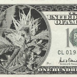 Meet your Posher, Art